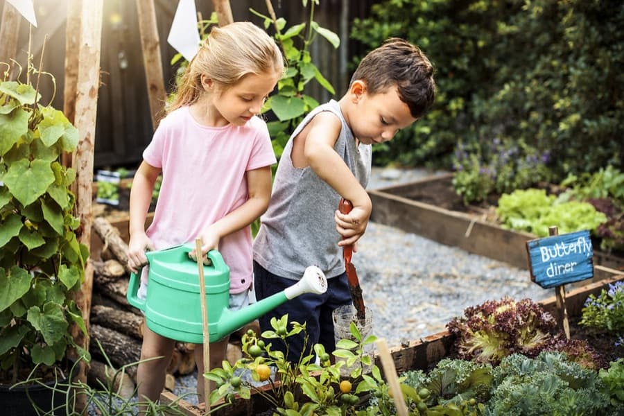 Cómo Asegurar el Control de Plagas en Espacios Abiertos y Jardines.