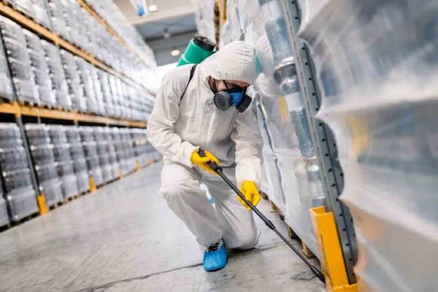 Control de Plagas en Empresas: La Importancia de Mantener tu Negocio Libre de Plagas